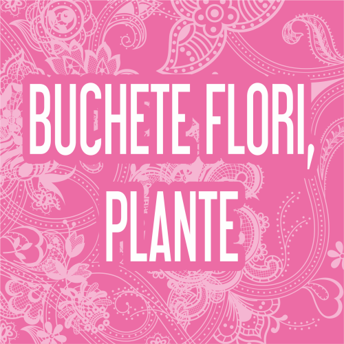 BUCHETE FLORI, PLANTE